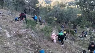 Repoblación forestal en Tavernes de la Valldigna en el Día del Árbol
