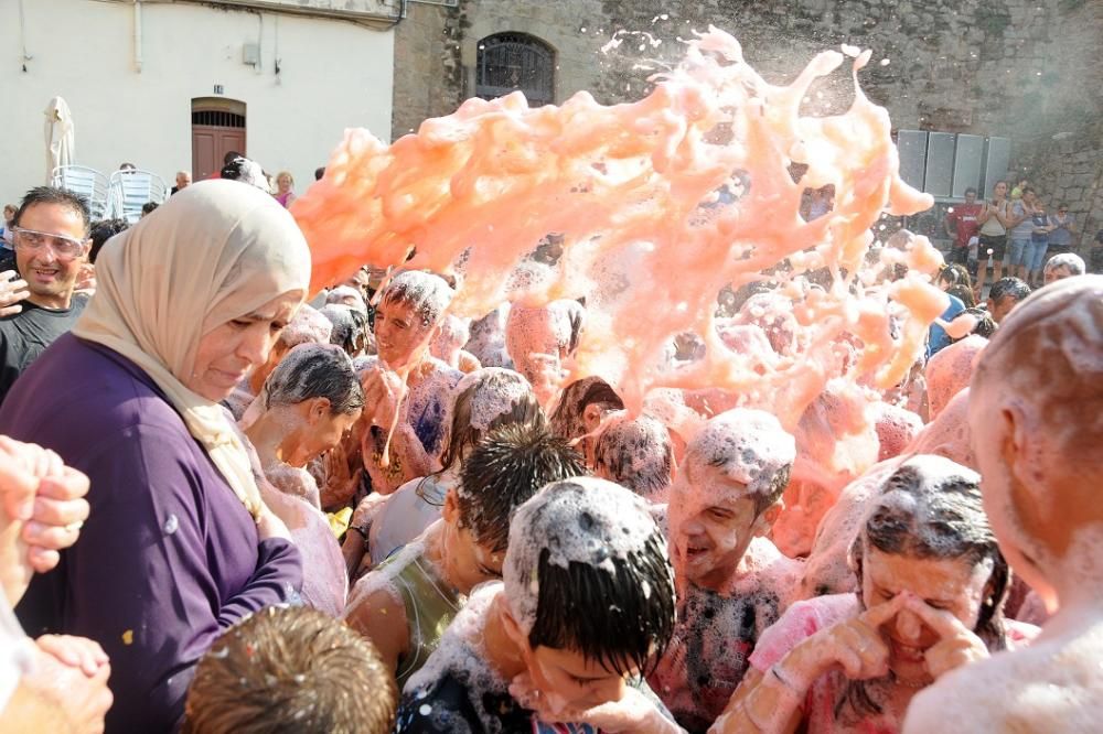 Les imatges del Correaigua