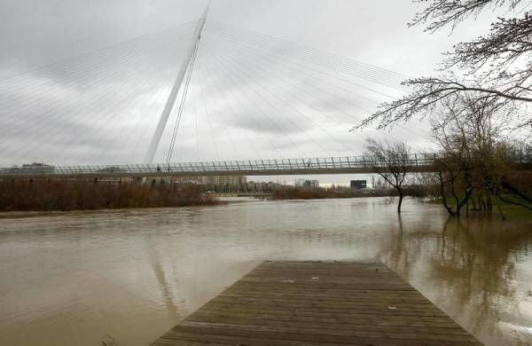 Fotogalería: Crecida en el río Ebro