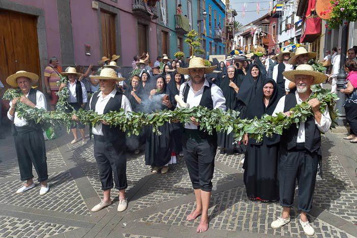 Carretas y grupos en la romería del Pino