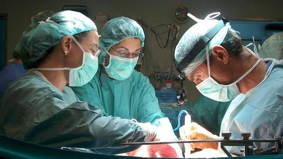 Médicos realizan un transplante renal, foto de archivo