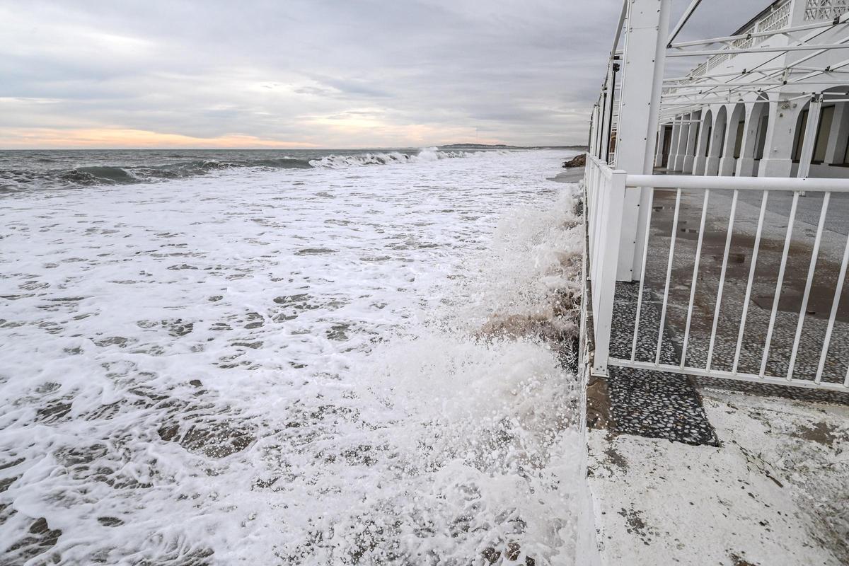 Un mar embravecido por el temporal Harry engulle playas en Elche y amenaza a las casas de primera línea de El PInet