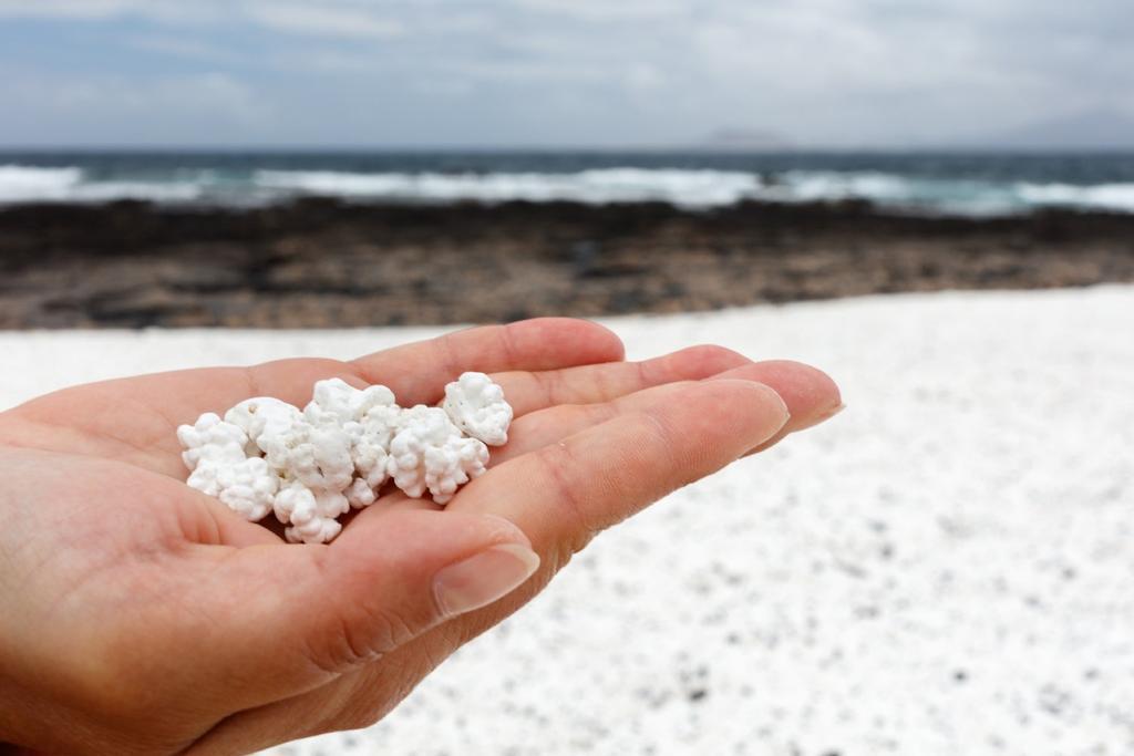 Playa de las palomitas