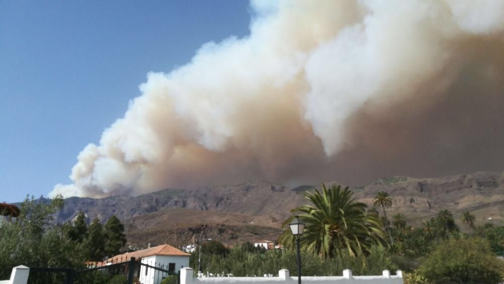 Incendio en Tejeda