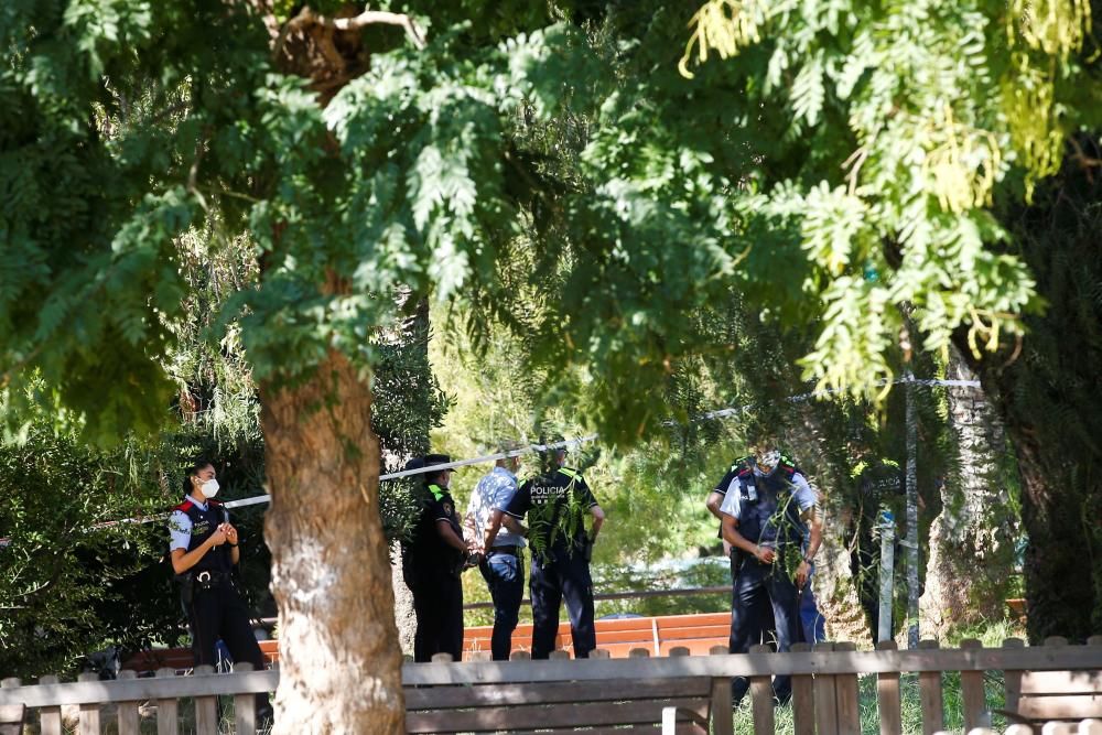 Un mort per la caiguda d'una palmera a Barcelona