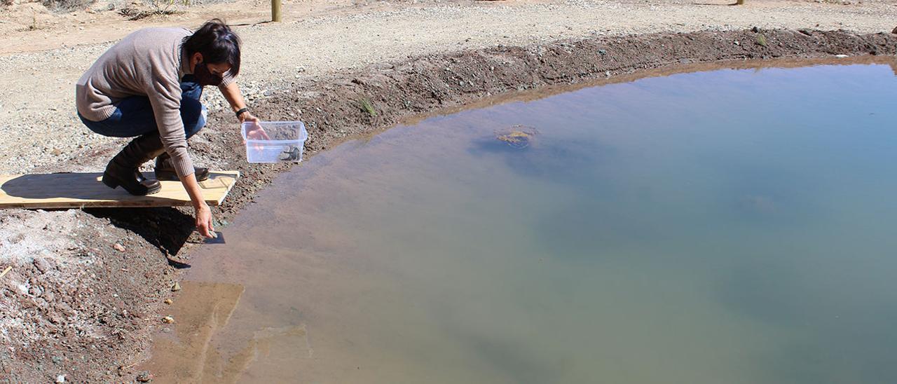 La concejala de Medio Ambiente en la nueva balsa del Fartet.