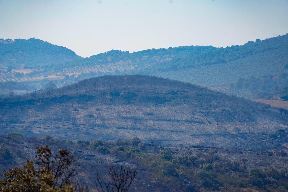 El incendio del Calatraveño arrasa zonas de gran valor ambiental