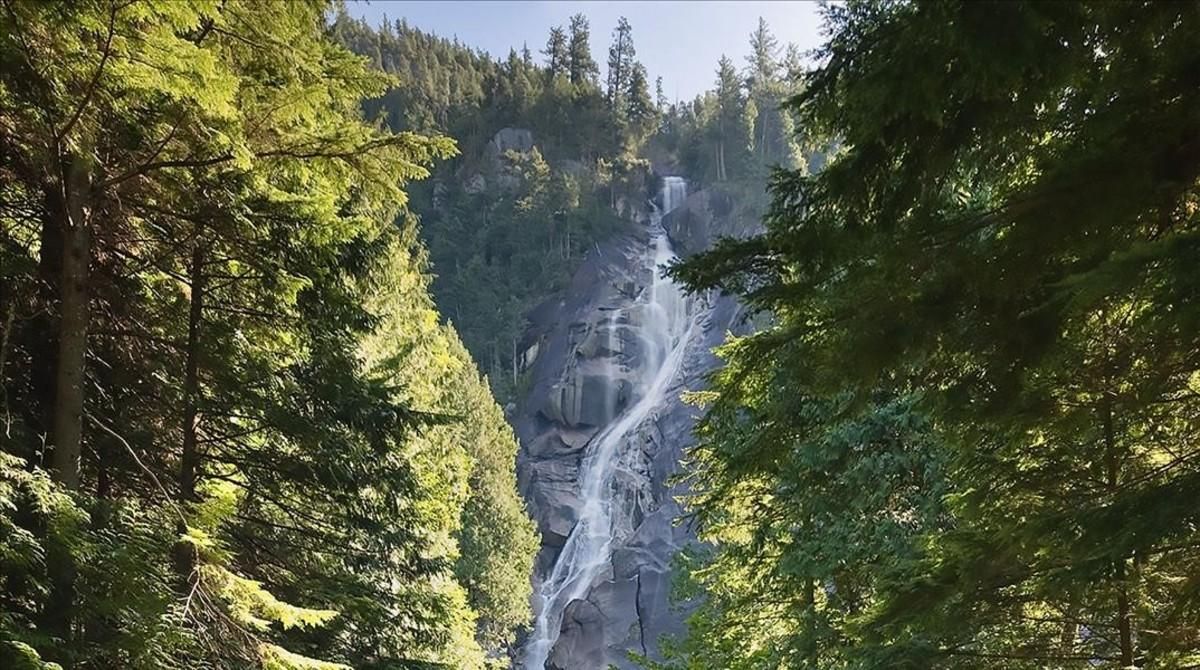 undefined44181988 this handout photograph obtained july 6 2018 courtesy of bc180709172437 undefined44181988 this handout photograph obtained july 6 2018 courtesy of bc180709172437