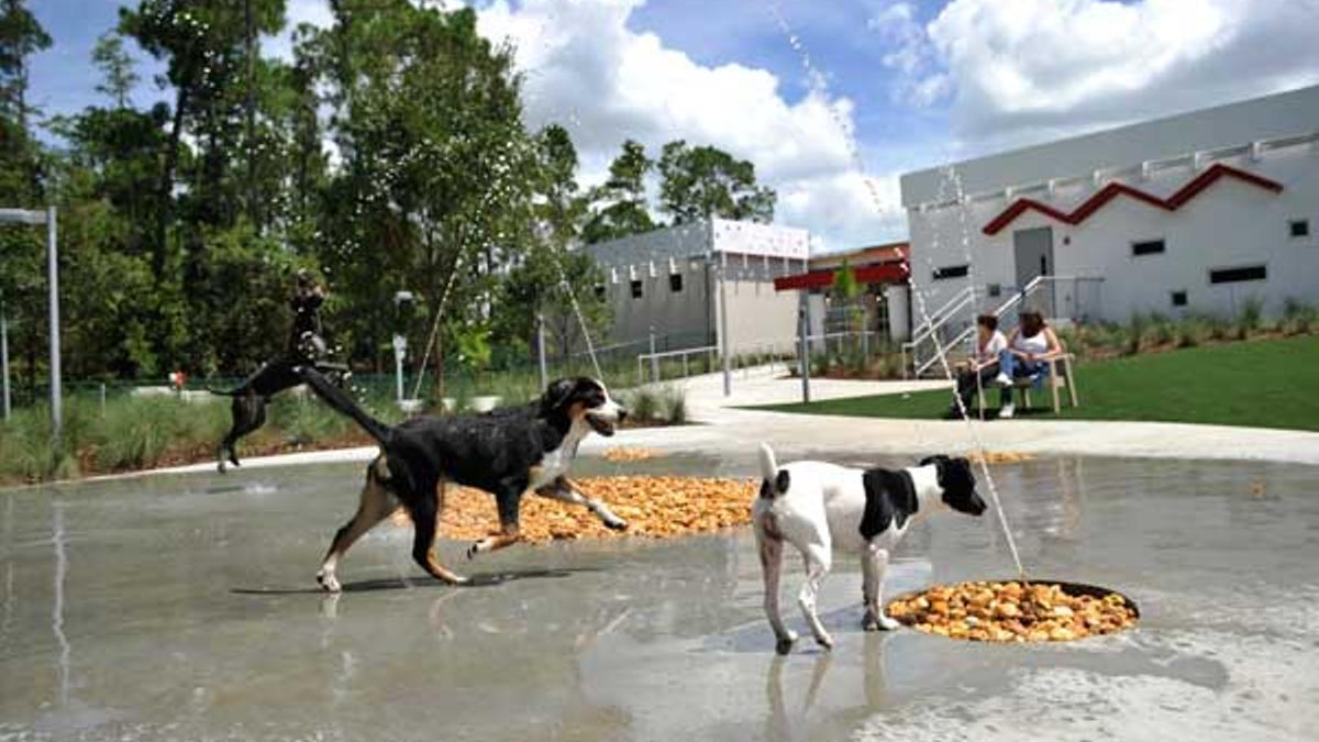 Disney World celebra el éxito de su primer hotel de lujo para mascotas