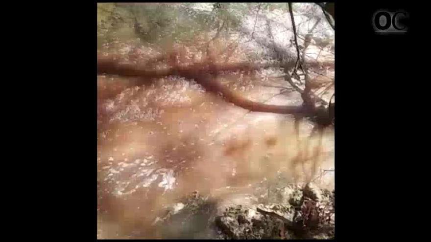 Vertidos de aguas residuales en un río en Melide