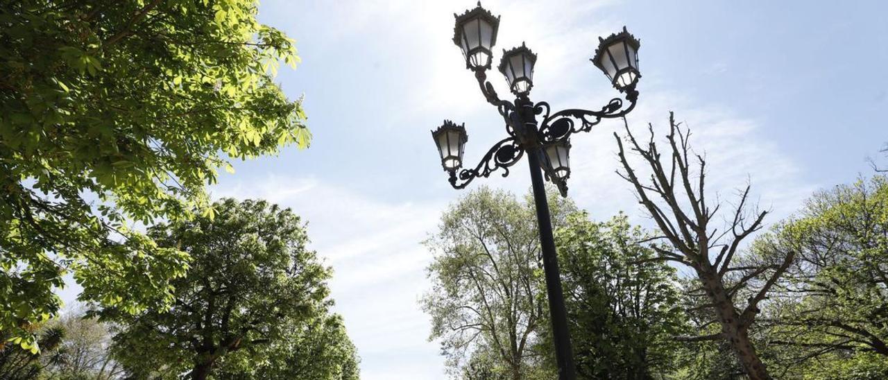 Una de las farolas isabelinas del paseo del Bombé que serán sustituidas por otras más resistentes. | Luisma Murias