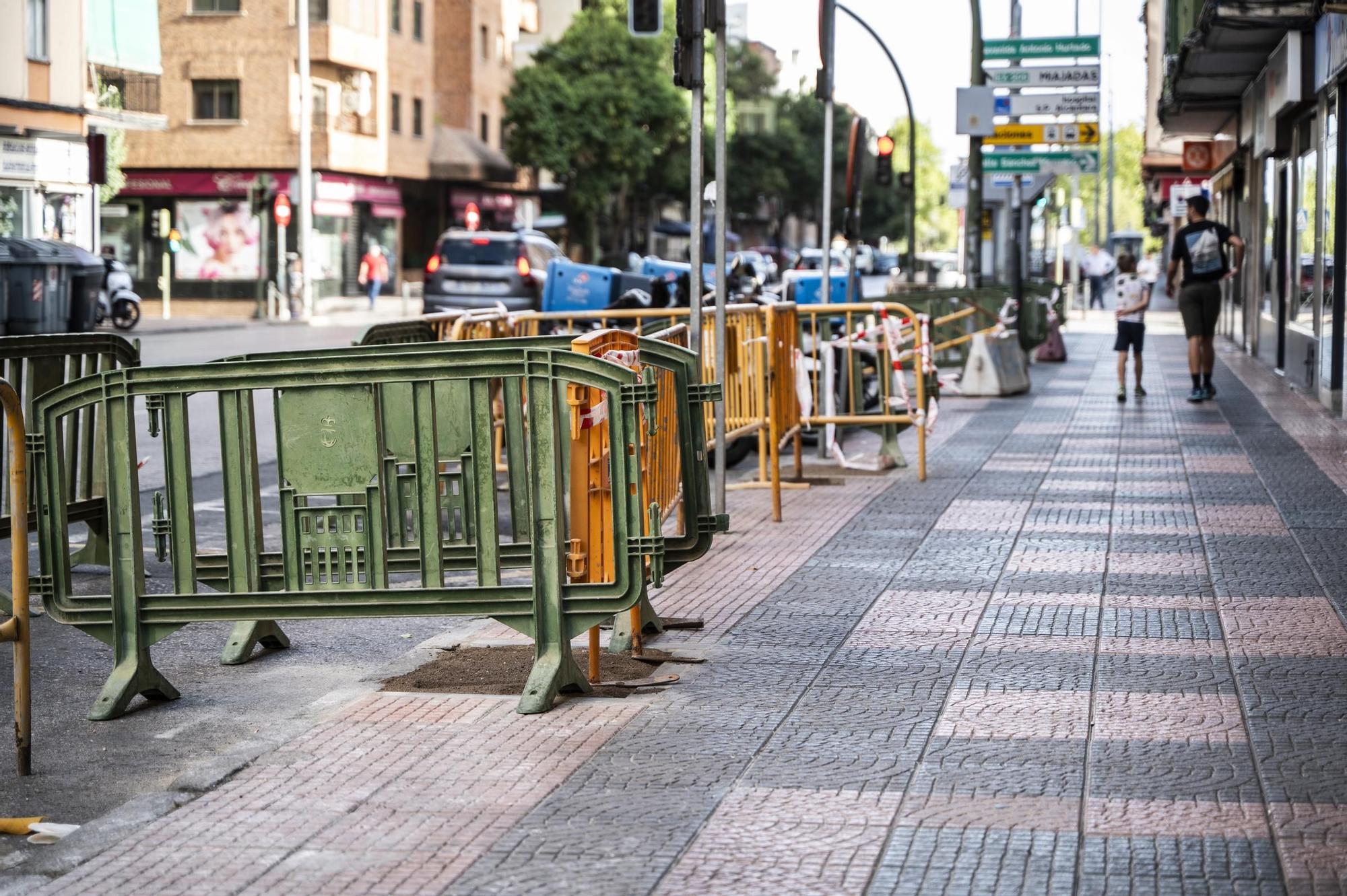 Obras para la plantación de árboles en Antonio Hurtado
