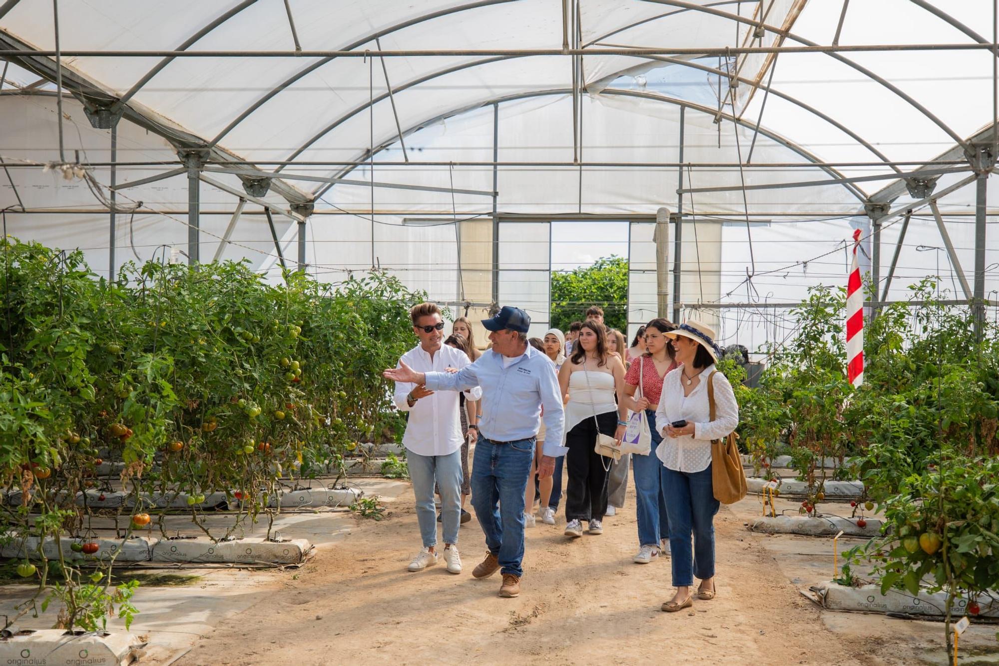Farm to Fork: Estudiantes de España y Eslovenia visitan la finca agrícola de Hoteles Servigroup en Villajoyosa
