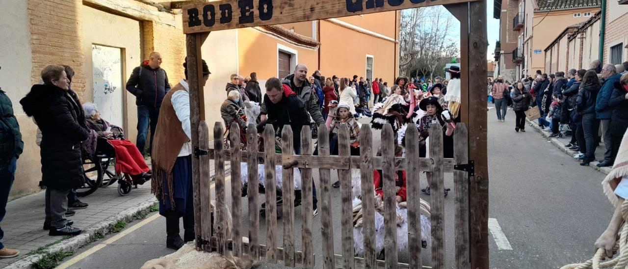 VÍDEO | Desfile infantil de Carnaval en Toro