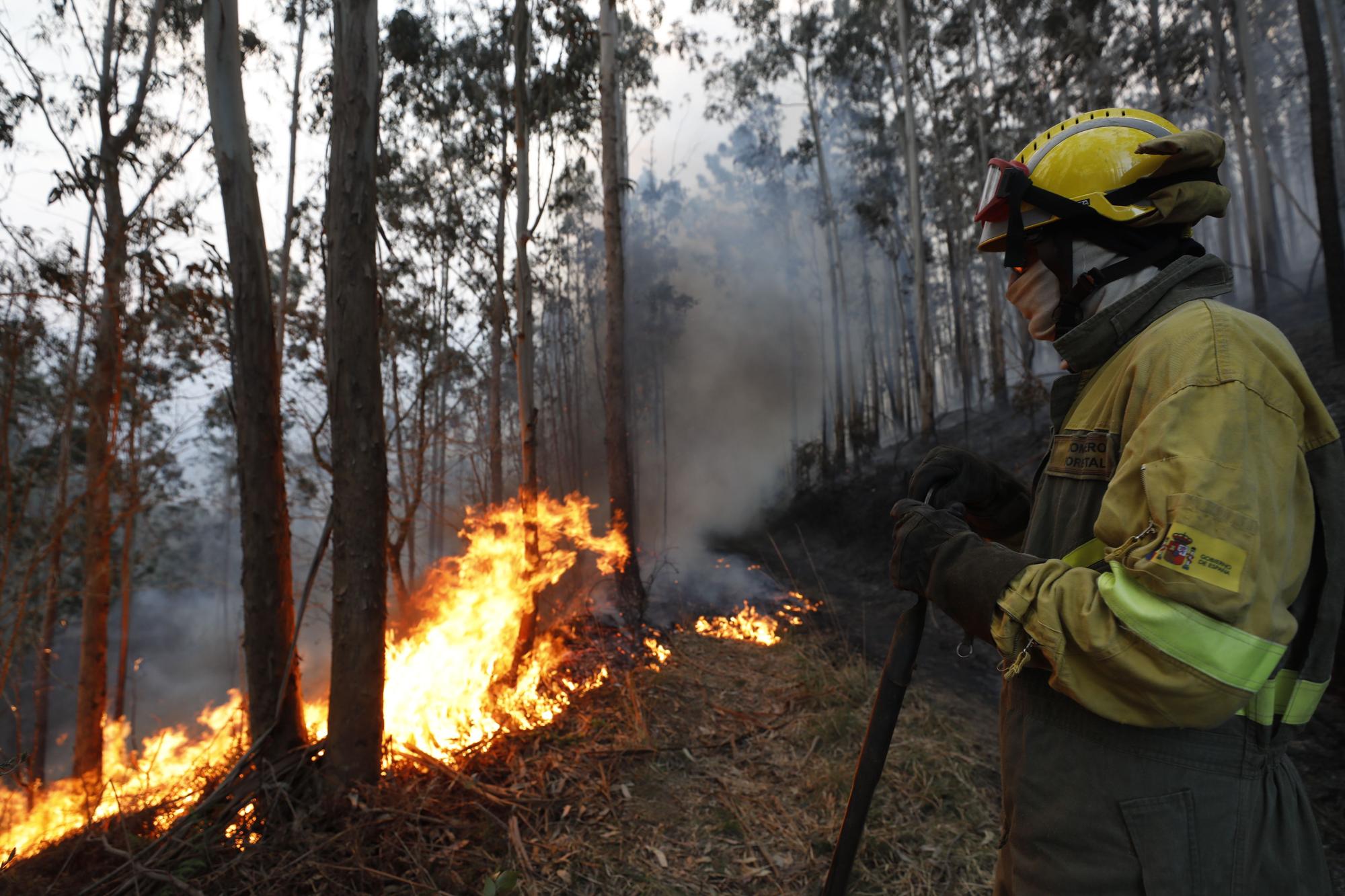 Incendios en la zona de La Venta, Valdés