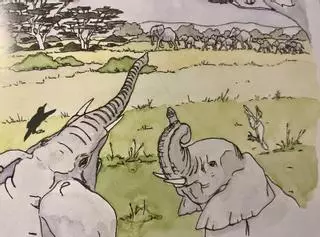 Quan les elefantes no poden  ser mares