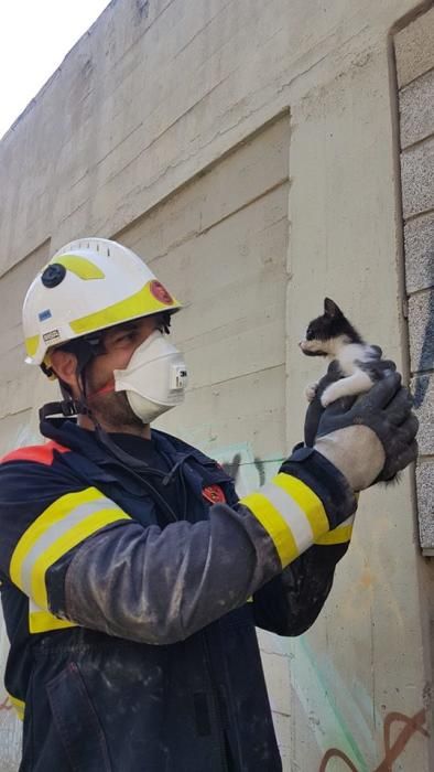 Bomberos salva a un gatito que se coló en una tubería