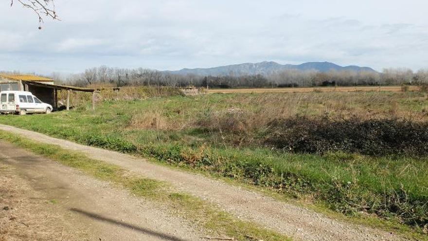 La granja de Vilanova de la Muga que preveu una ampliació