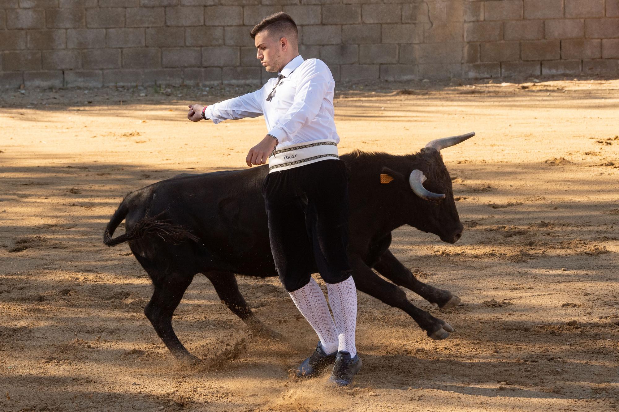 GALERÍA | Impresionante exhibición de cortes en Coreses