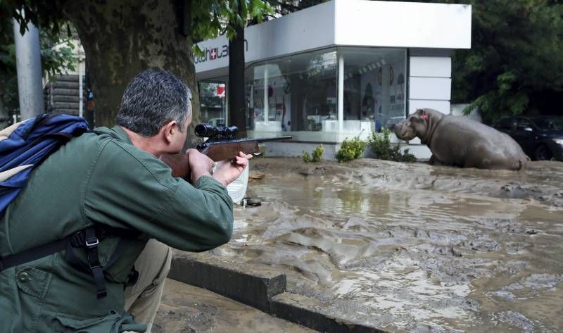 Fotogalería: Los efectos de las inundaciones en Georgia