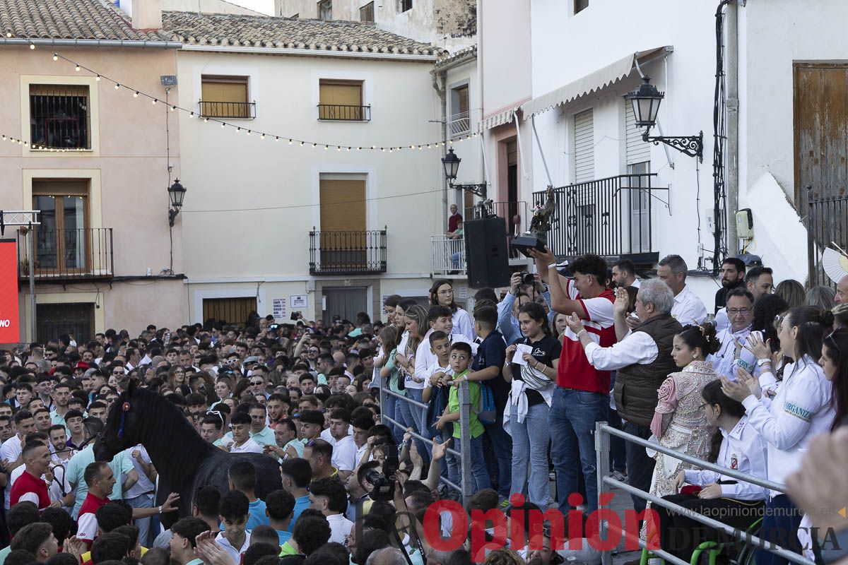 Fiestas de Caravaca | Entrega de premios del concurso morfológico