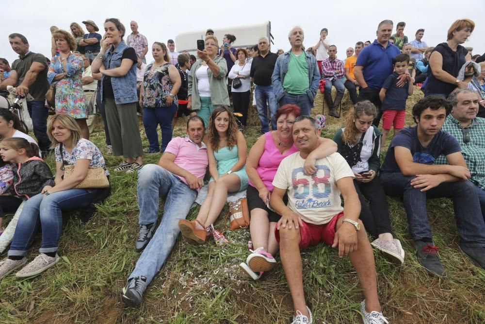 Espectáculo equestre en las fiestas de Premoño (Las Regueras)