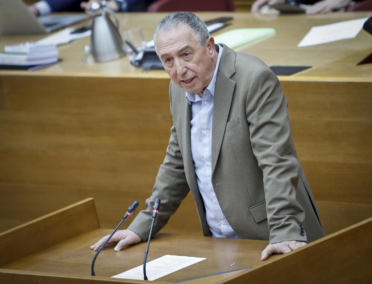 El síndic de Compromís, Joan Baldoví, interviene en las Corts.