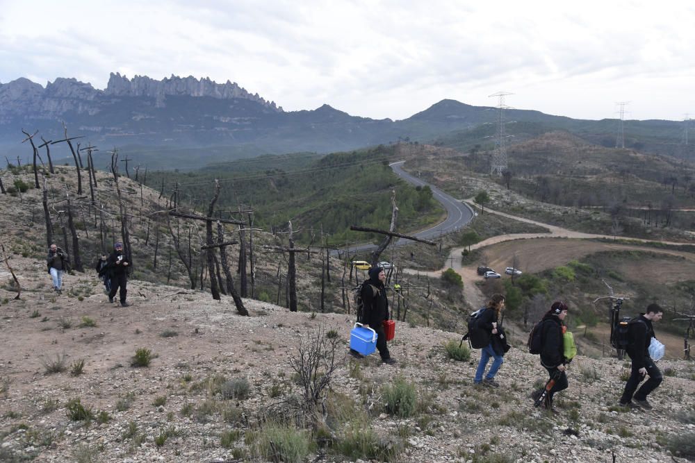 Preparatius per una gigafoto de rècord al bosc de les creus