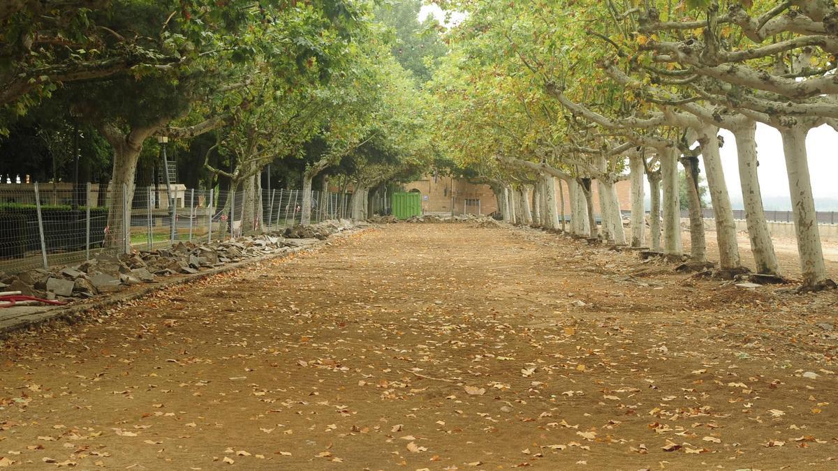 Aspecto de los Paseos de la Mota.