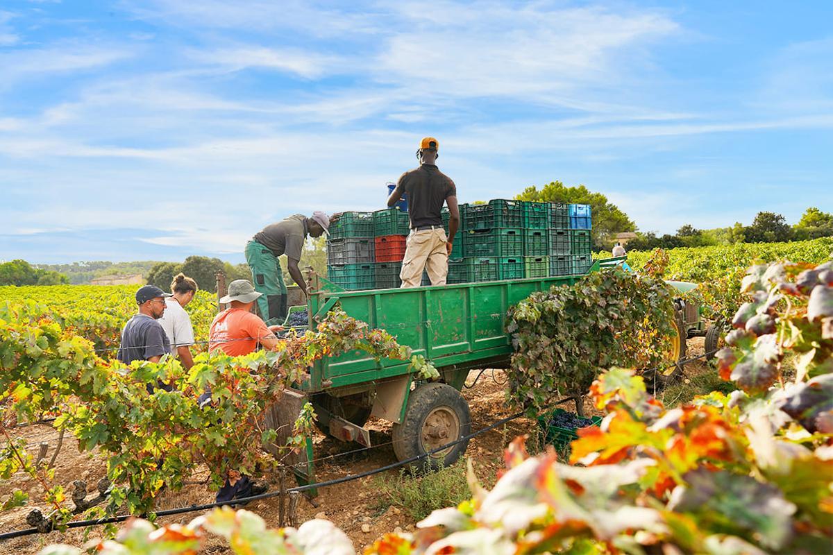 Das Land, das mediterrane Klima und die Arbeit haben die Landschaft geprägt.