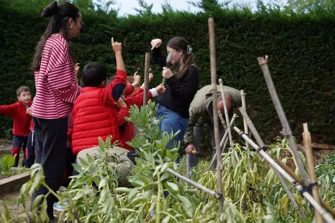 Proyecto educativo en el huerto del Campus Viriato