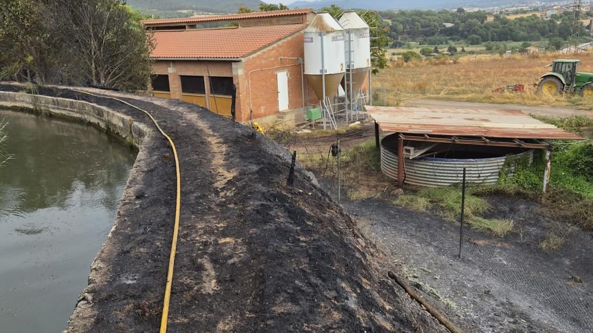 El foc s'ha pogut evitar que entrés a la granja