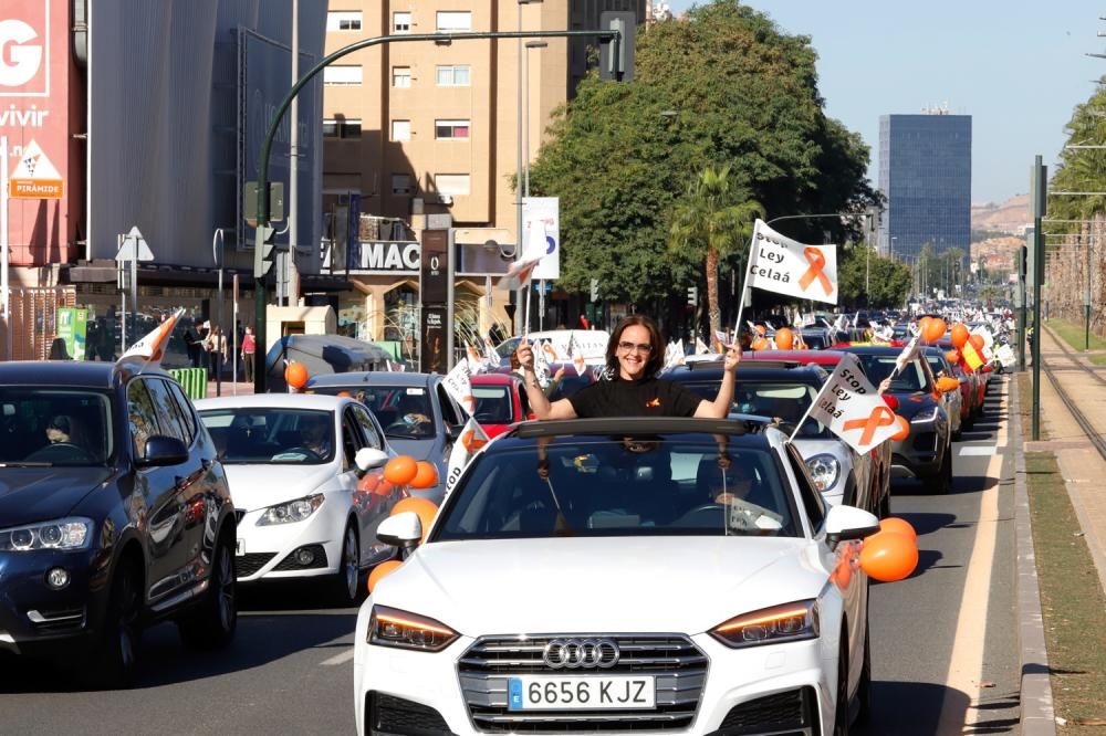 Miles de murcianos protestan en las calles contra la ley Celaá