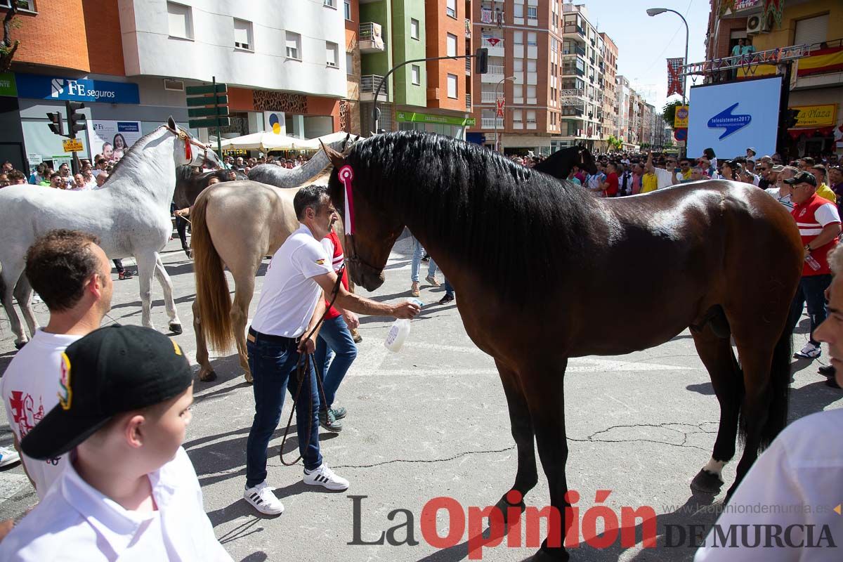 Pasacalles caballos del vino al hoyo