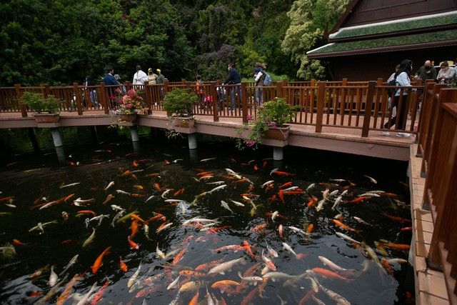 El Loro Parque reabre sus puertas al público después de 13 meses y medio de cierre por el Covid-19