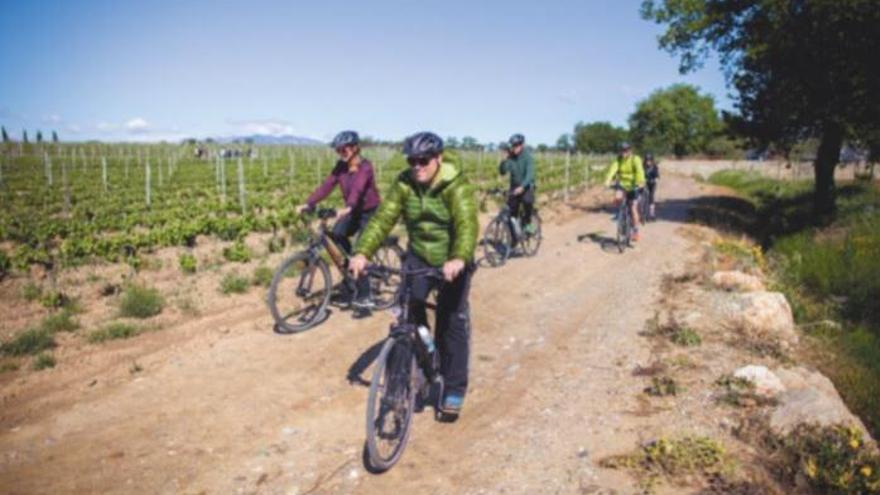 Diferents cellers de la comarca obren les seves portes per donar a conèixer al visitant els secrets de l&#039;elaboració del vi a través d&#039;experiències fantàstiques. Una d&#039;aquestes és la descoberta de l&#039;entorn amb BTT.