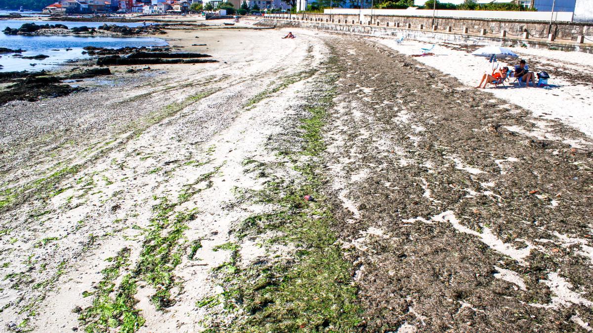 Imagen de otro de los arenales situados en la parroquia de Carril