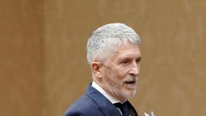 Marlaska assegura "confiar" en la Guàrdia Civil després d’un àudio filtrat