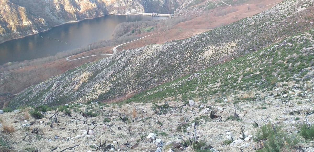 Paja extendida sobre la ladera de los montes cercanos a Tanes, muy afectados por la erosión del suelo.