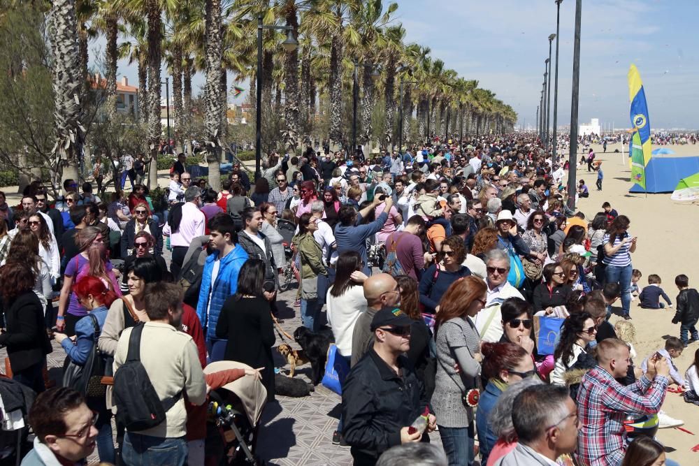 Festival del Viento 2016 en la Malva-rosa