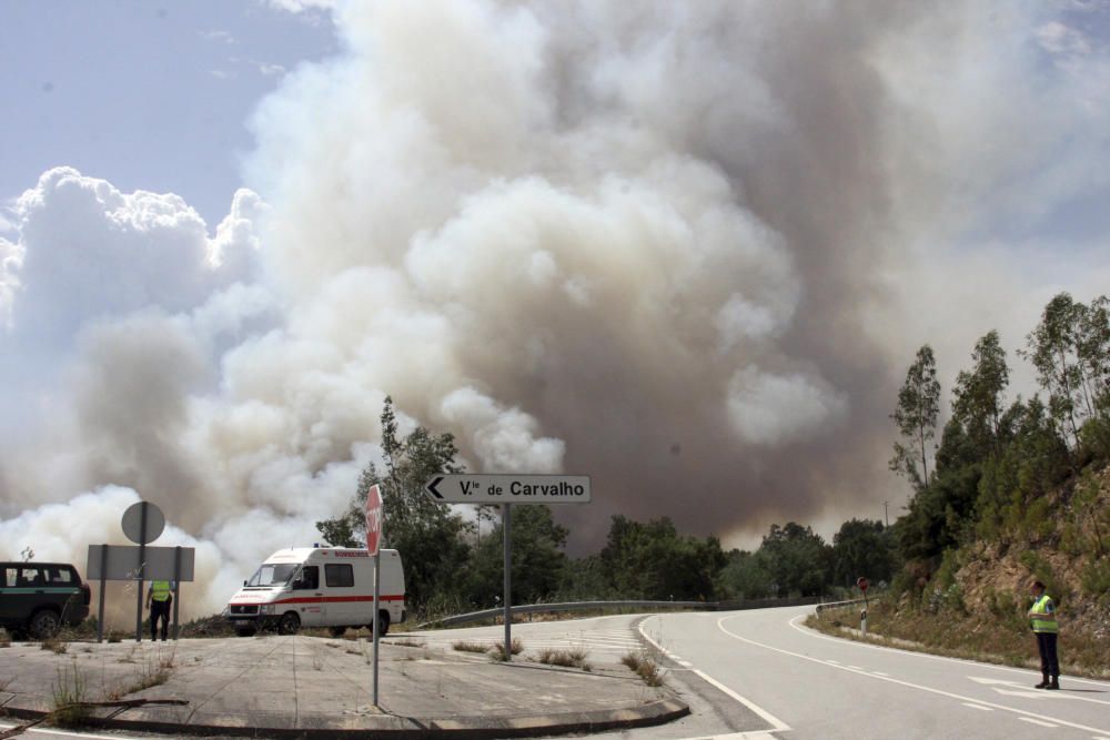 Incendio de grandes dimensiones en el centro de Portugal.