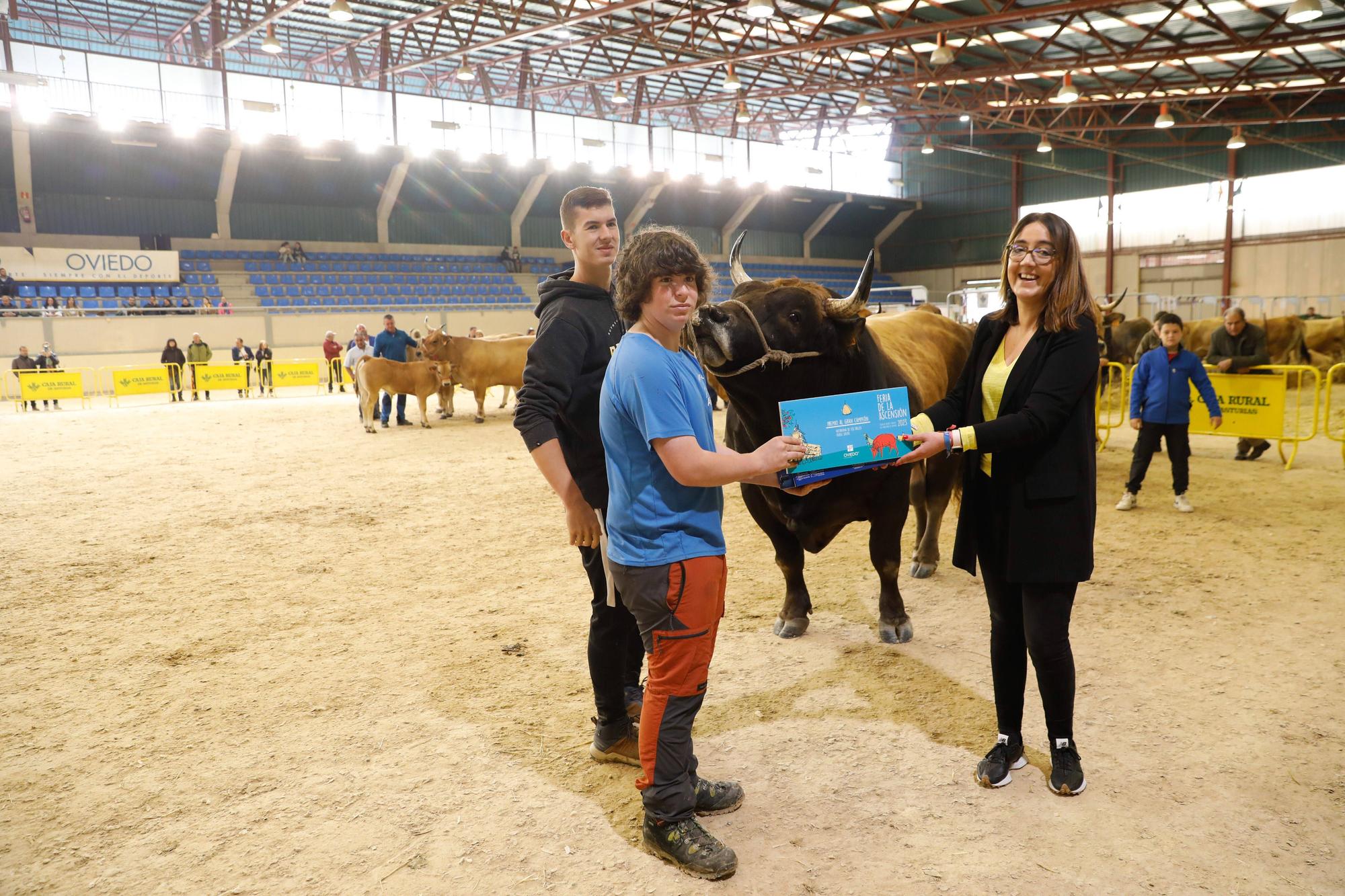 El gran cierre de La Ascensión: así fue la última jornada festiva en la feria del campo en Oviedo