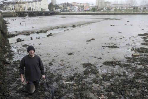 Eurodiputados visitan la Ría do Burgo