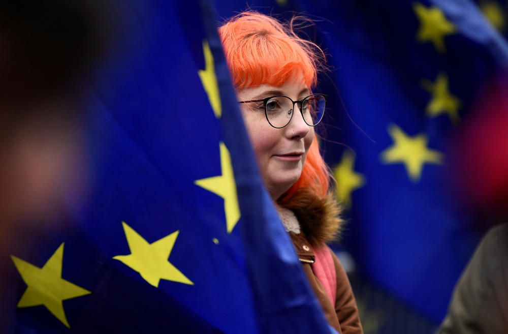 A protester stands among European Union flags ...