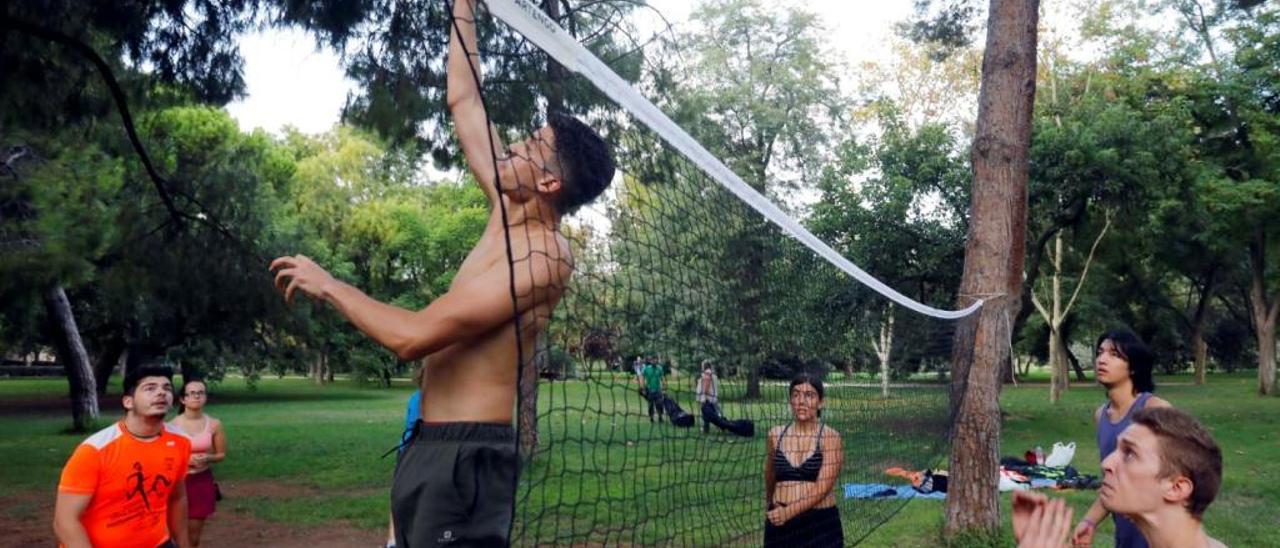 Un jardín en plena forma