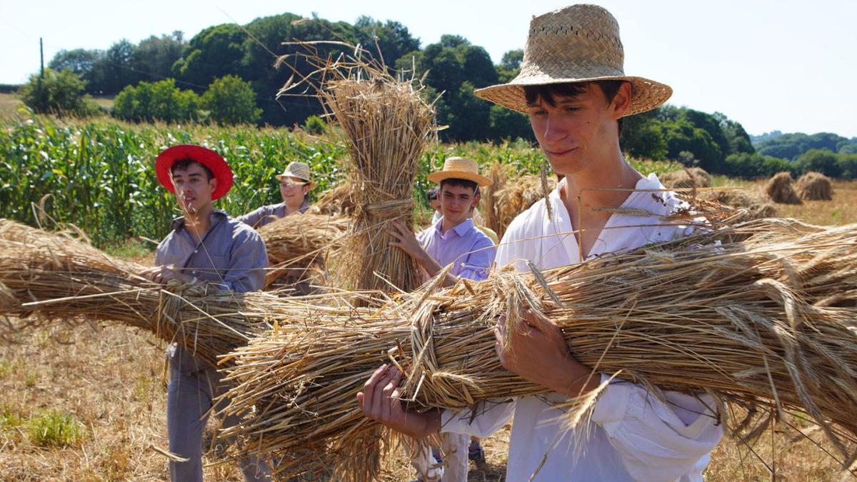 Membros do grupo de voluntariado Tradición en Verde, onte, durante o carrexo de mollos en Doade. |  // BERNABÉ