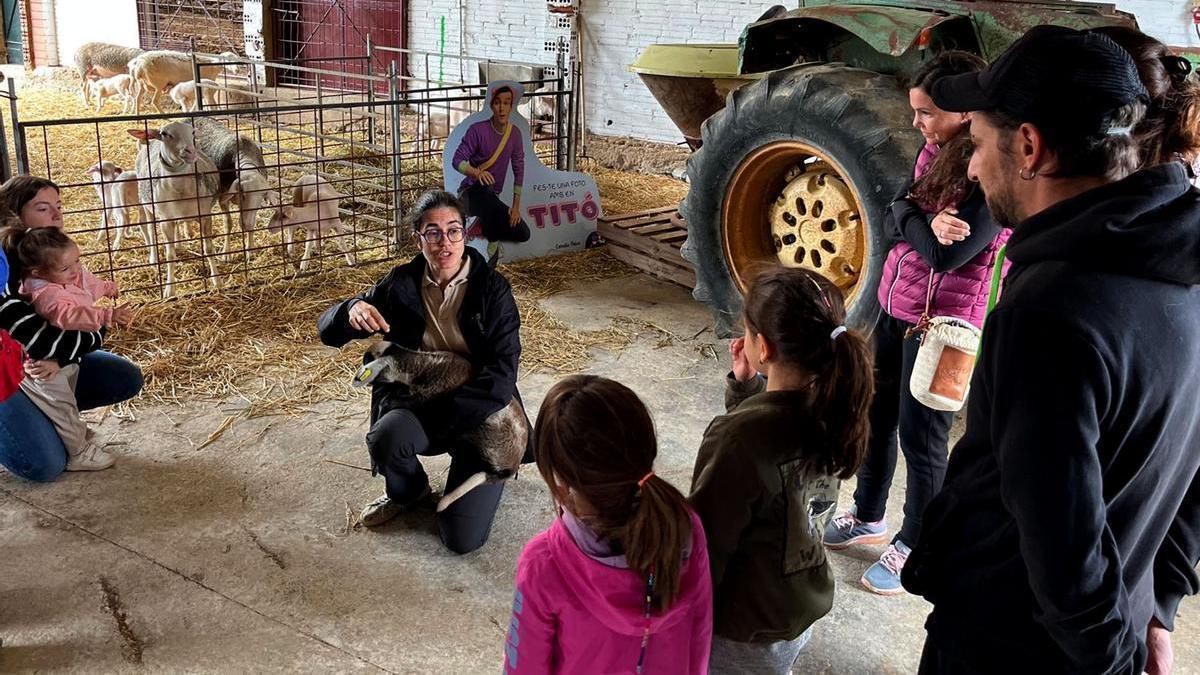 Imatge de la visita realitzada a una explotació ramadera