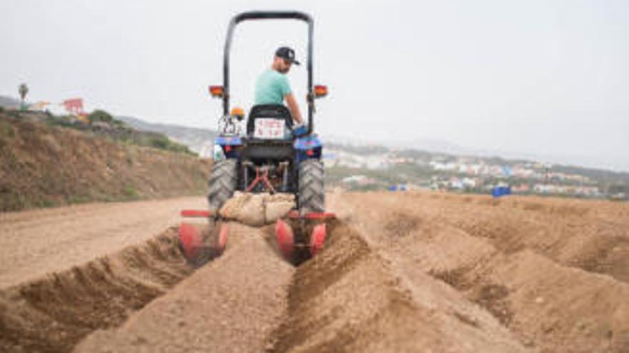 Agricultor en un tractor.