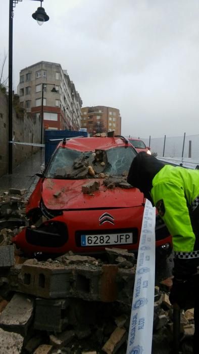 El viento provoca caída de árboles en Alcoy