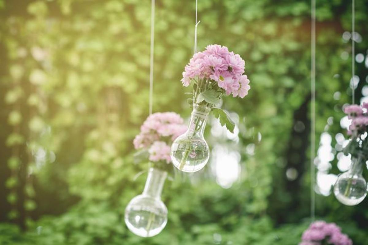 Flores para una boda al aire libre: bombillas de Shutterstock